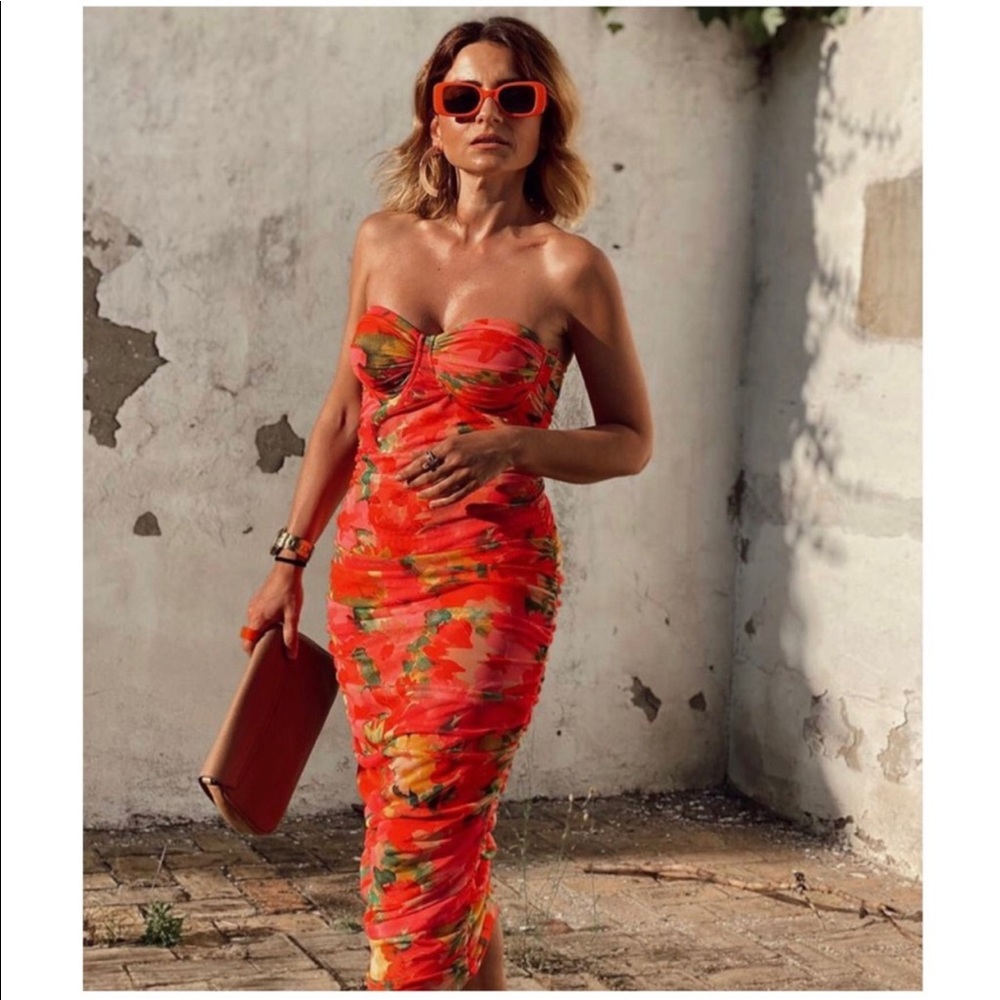 NWT Zara Printed Tulle Corset Dress